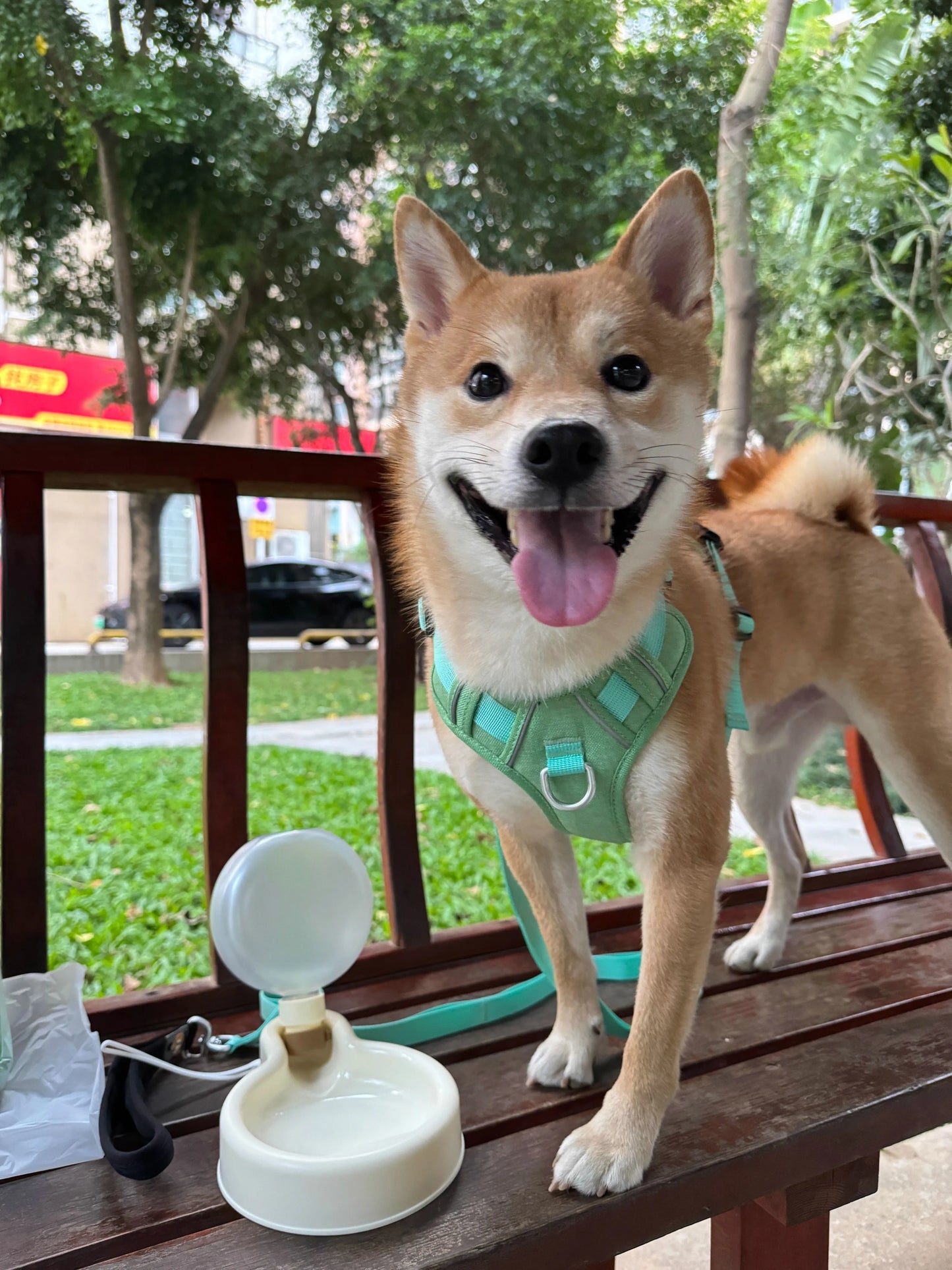 Portable and Foldable Bulb Water Bottle for Dogs - Large Capacity Outing Kettle and Feeder