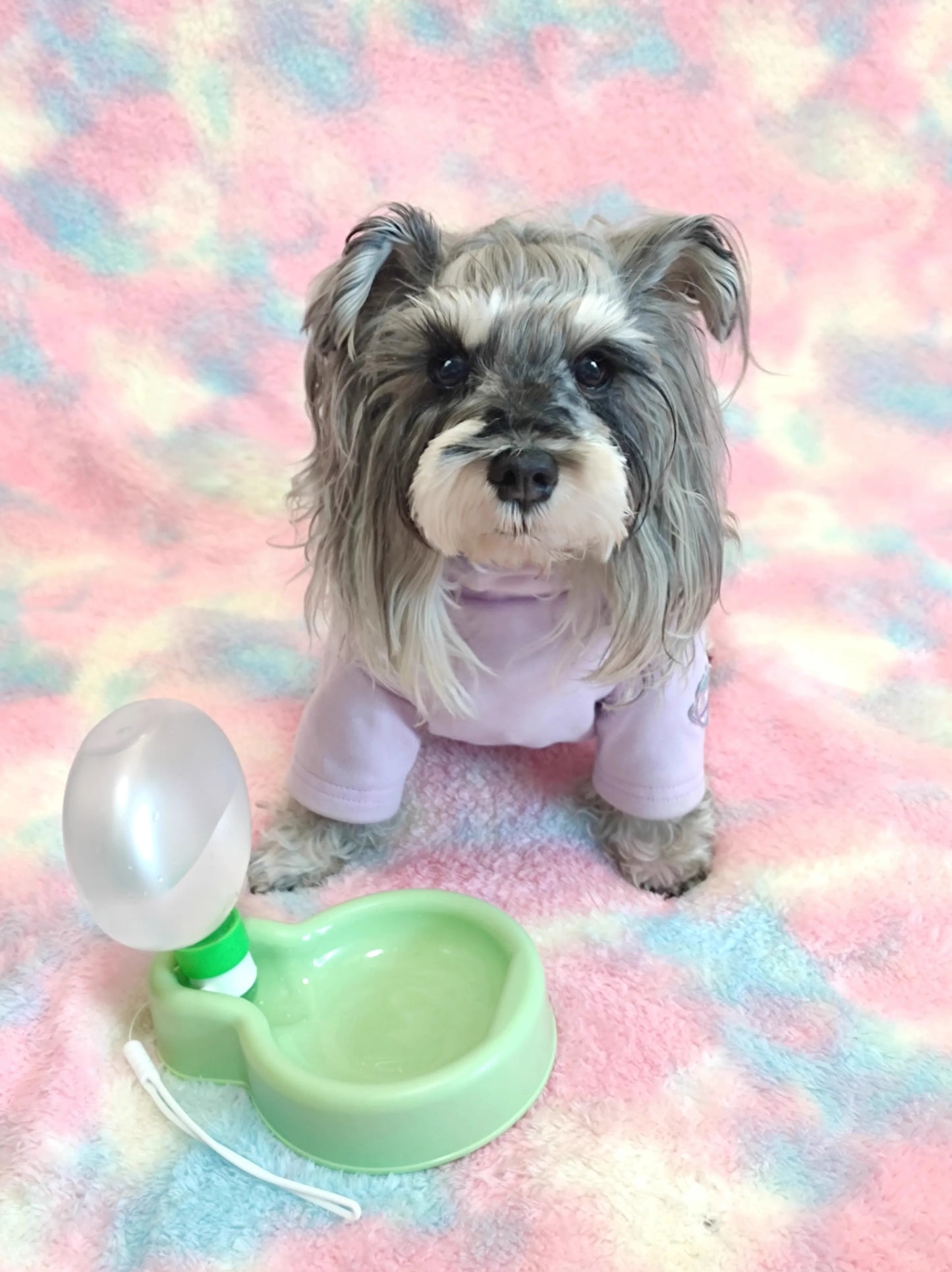 Portable and Foldable Bulb Water Bottle for Dogs - Large Capacity Outing Kettle and Feeder
