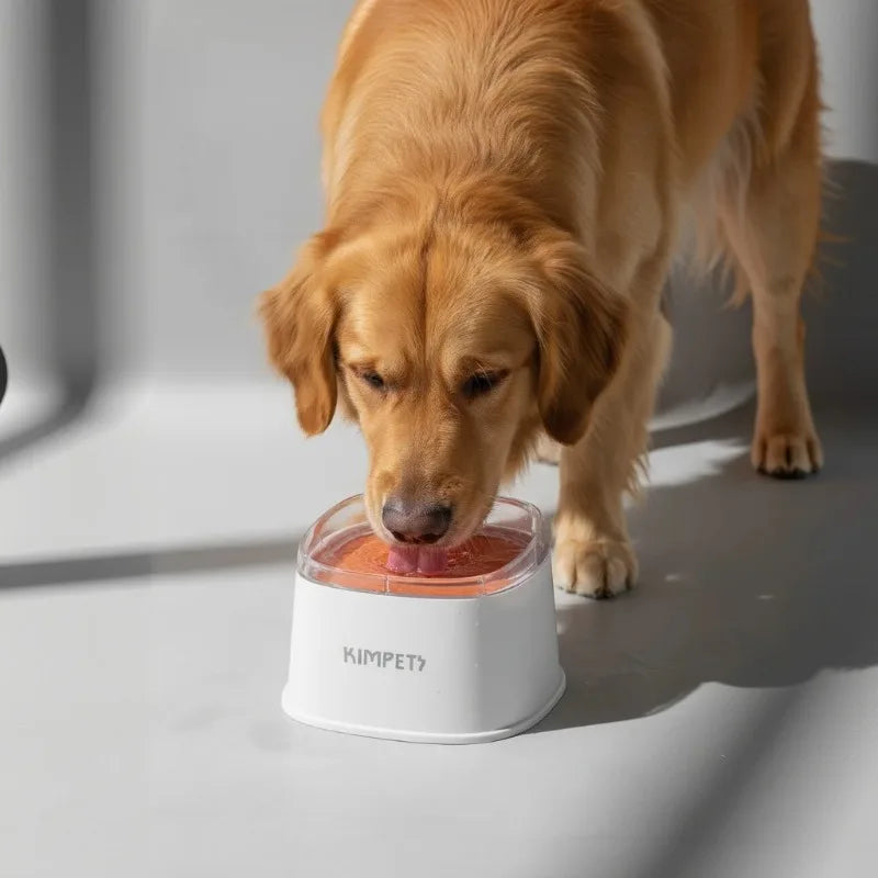 Revolutionary Anti-Splash Dog & Cat Water Bowl - Perfect Floating Drinker for Your Furry Friends!