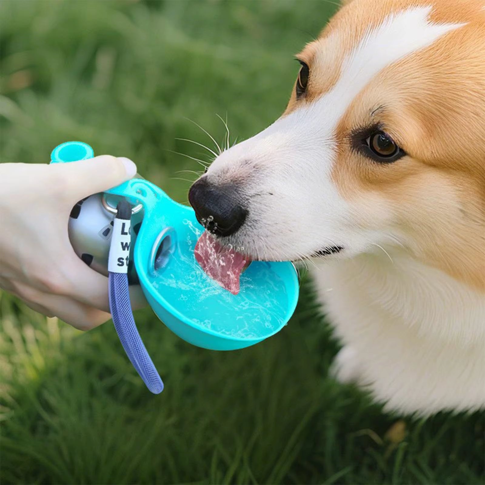 304 Stainless Steel Water Kettle round Outdoor Water Cup with Lanyard Hook Foldable Silicone Dog Bowl Portable Travel Pet Feedin